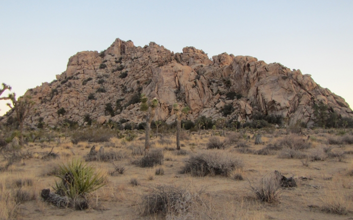 A large rocky hill rests among the desert landscape of Joshua Tree National Park